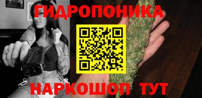 винт Бердск