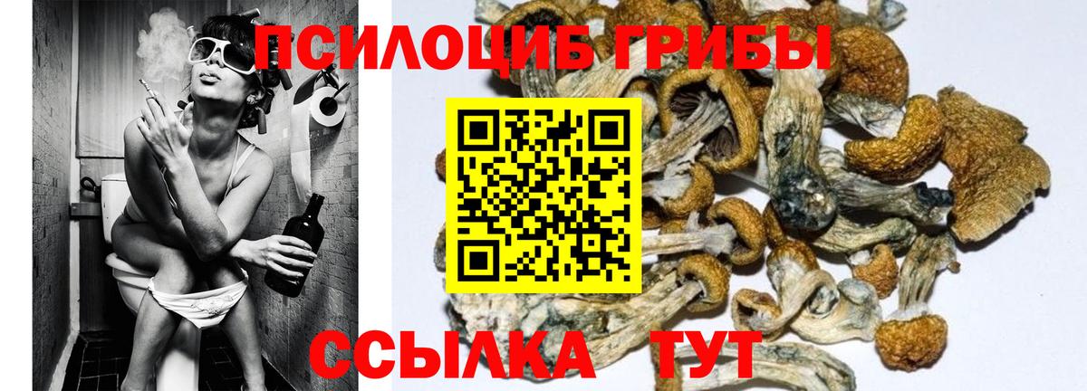 Галлюциногенные грибы мухоморы  Вход с VPN  Псилоцибиновые грибы Cubensis  купить   Ачхой-Мартан 